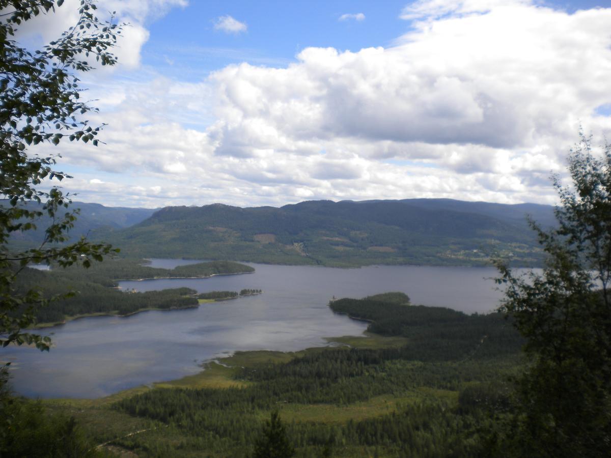 Telemark Hauggrend